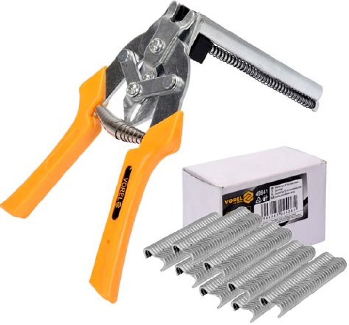 Lacey Turner deserves a BAFTA for her portrayal as Stacey Branning