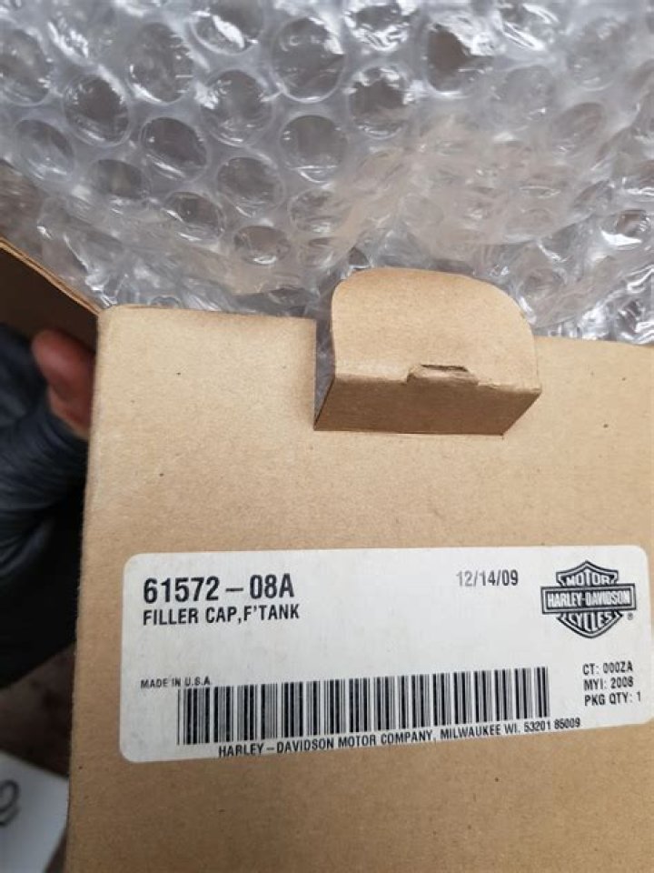 Niall Horan Attends UFC Fight