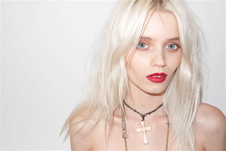 Abbey Lee Kershaw Net Worth, Age, Height, Bio, Birthday, Wiki!