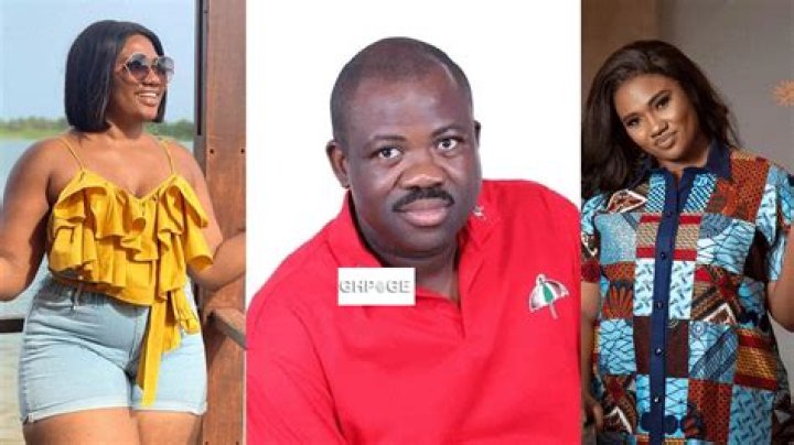 Abena Korkor Apologizes To Stonebwoy After After Her Wild Exposé [Video]