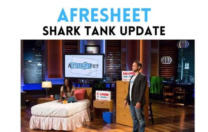 Afresheet Net Worth 2024 | A Fresh Sheet Net Worth, After Shark Tank Update