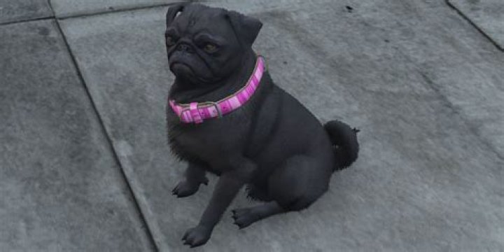 Alexandra Stan Reaches New Milestone on YouTube