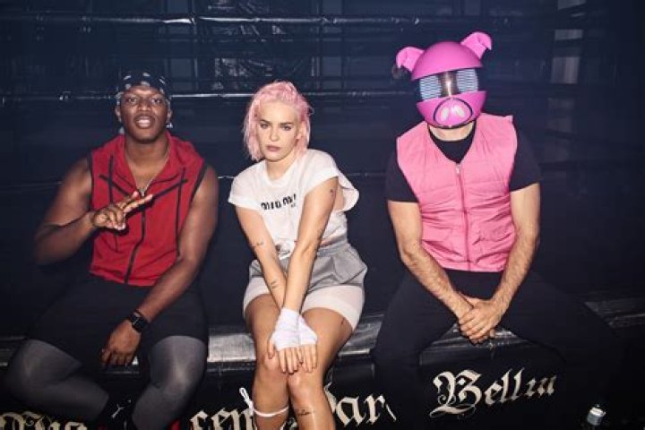 Anne-Marie, KSI & Digital Farm Animals release new single 'Don't Play'