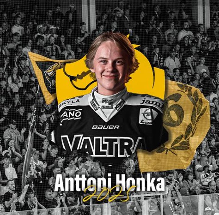 Anttoni Honka - Net Worth, Age, Height, Birthday, Bio, Wiki!