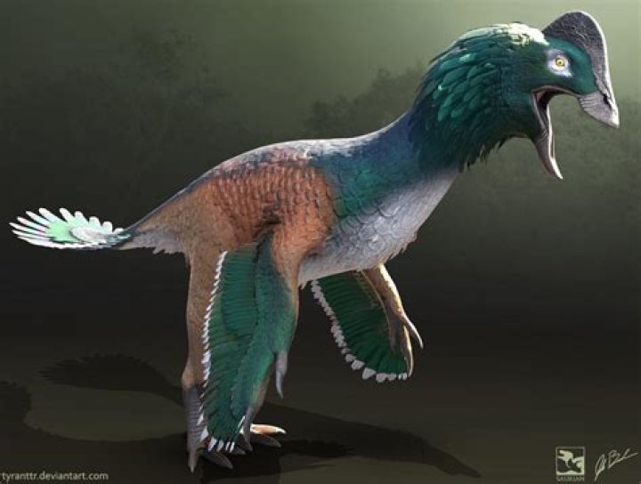 Anzujaama- Age, Height, Boyfriend, Net Worth, Ethnicity