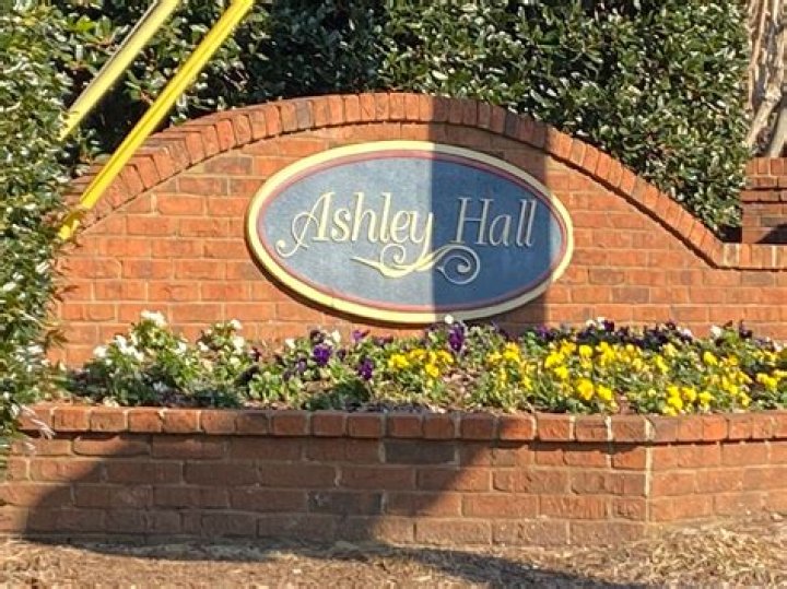 Ashley Hall - Net Worth, Age, Height, Birthday, Bio, Wiki!