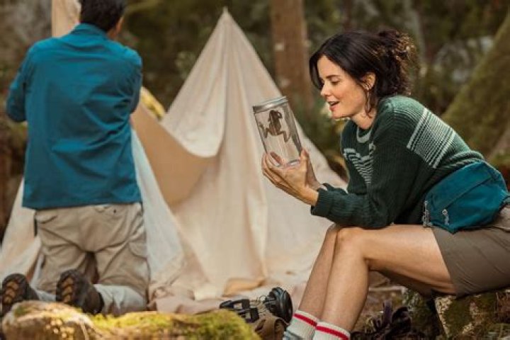 Ashley Sutton - Net Worth, Age, Height, Birthday, Bio, Wiki!