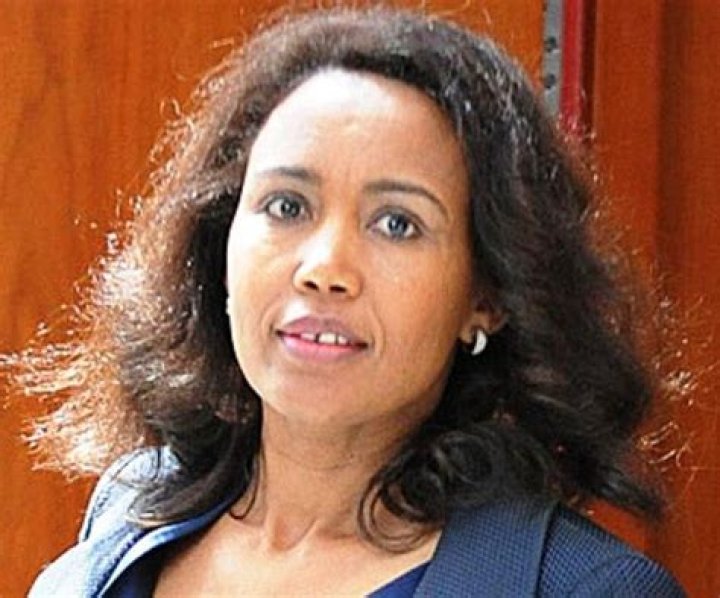 Fame | Azeb Mesfin net worth and salary income estimation Apr, 2024