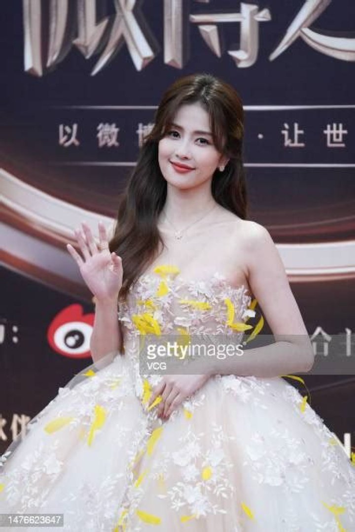 Fame | Bai Lu (actress) net worth and salary income estimation Jan, 2024