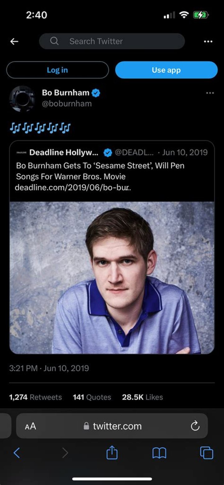 Does Bo Burnham have Siblings?