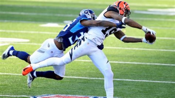 Fame | Breon Borders net worth and salary income estimation Jan, 2024