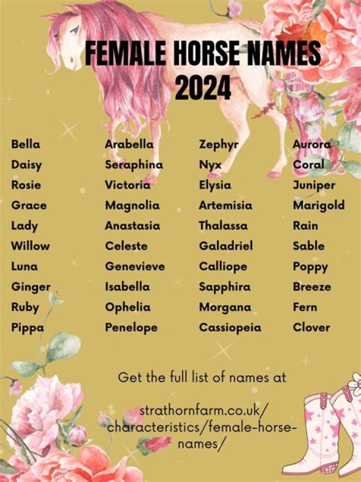 Coque Macho’s Girlfriend: Who is Coque Macho Dating?