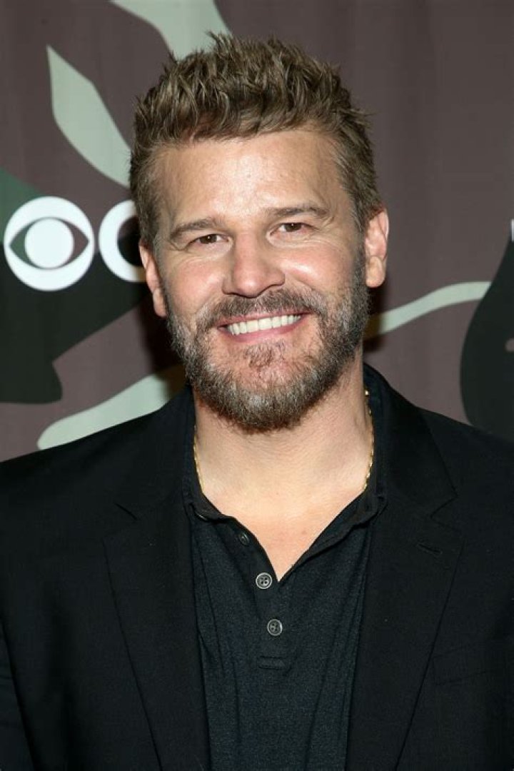 David Boreanaz Net Worth 2024, Age, Height, Bio, Birthday, Wiki!