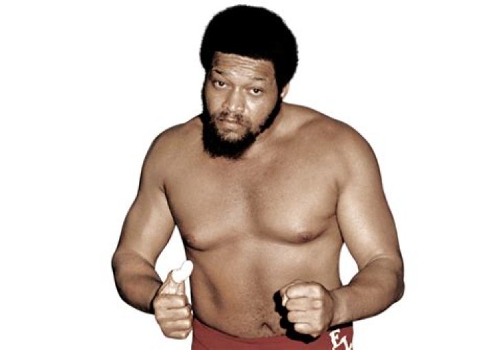 Fame | Ernie Ladd net worth and salary income estimation Apr, 2024