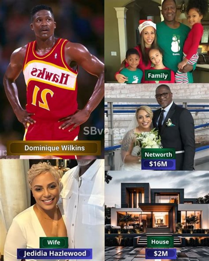 Everything You Need To Know About Dominique Wilkins'...