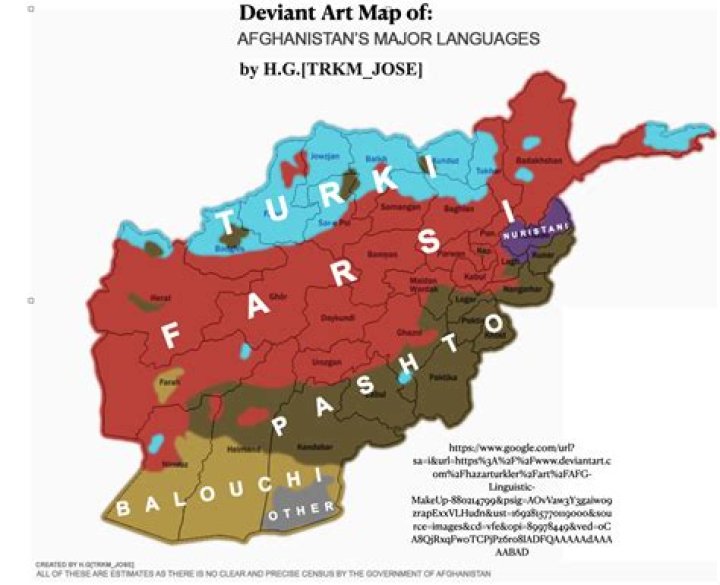 Farhad Irani’s Girlfriend: Who is Farhad Irani Dating?