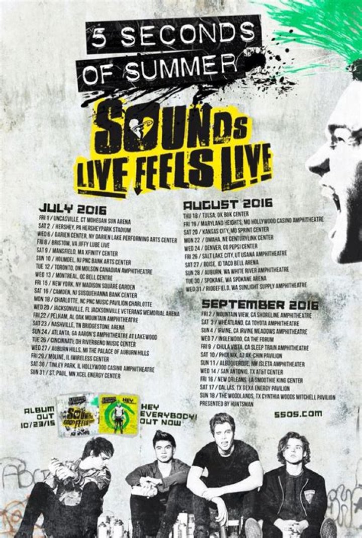 Fetus 5SOS Songs to be on Sounds Live Feels Live Tour