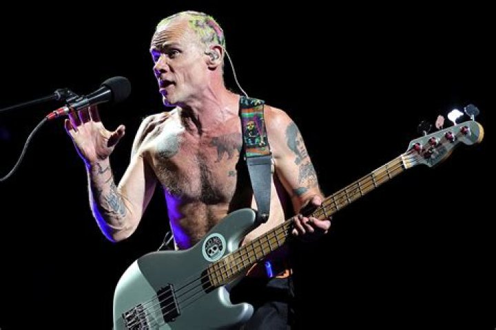 Fame | Flea (musician) net worth and salary income estimation Mar, 2024