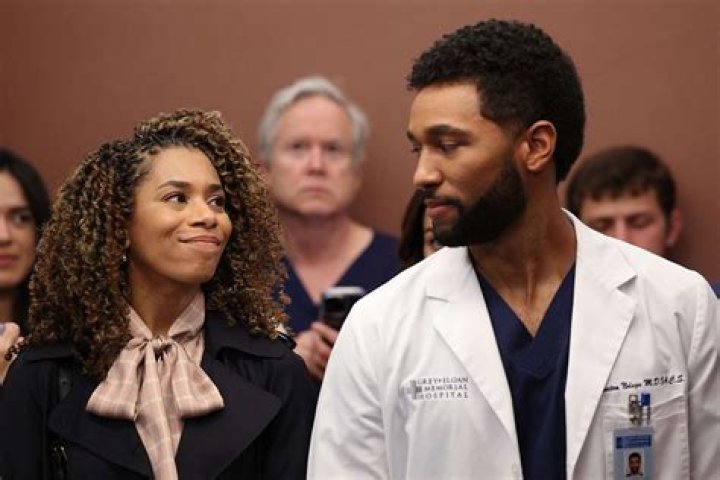 Grey’s Anatomy Recap 01/24/19: Season 15 Episode 10 “Help, I’m Alive”