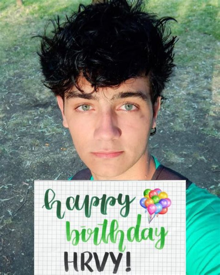 Happy Birthday HRVY - CelebMix