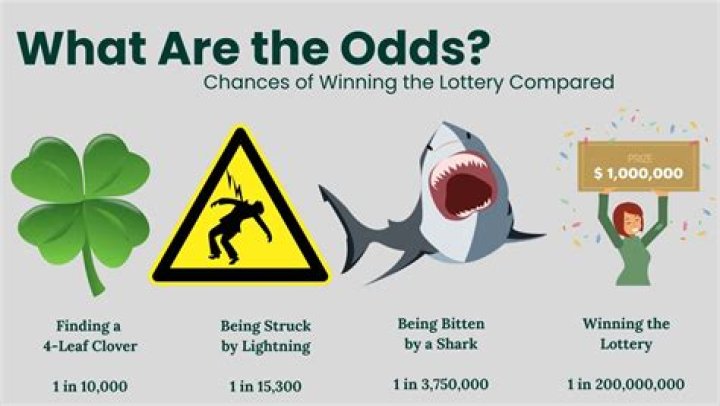How Can Rookies Increase The Chances Of Winning Bets