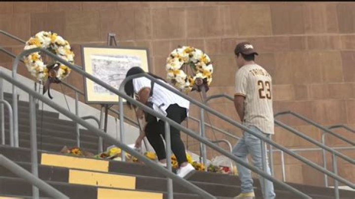 Peter Seidler Death: How Did Peter Seidler Die?