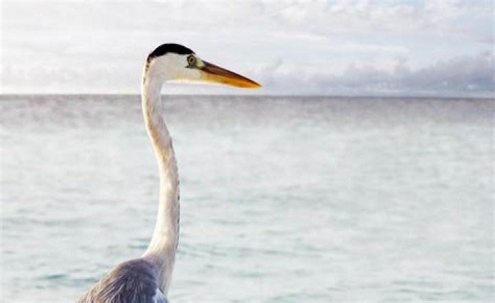 How Has Tourism Changed Burma?