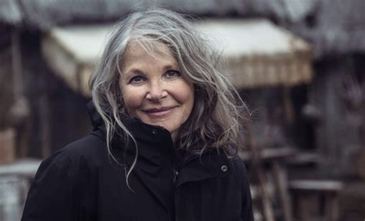 How Rich Is Canadian actress Helen Shaver Today: Biography, Net Worth & more, Brief Intro