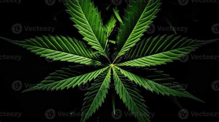 ‘I Don’t Endorse Marijuana, I Don’t Smoke Marijuana’ – Black Sherif