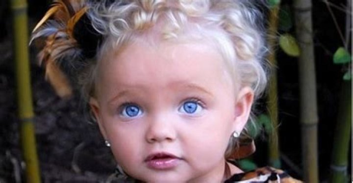 Ira Brown Net Worth, Age, Height, Bio, Birthday, Wiki!