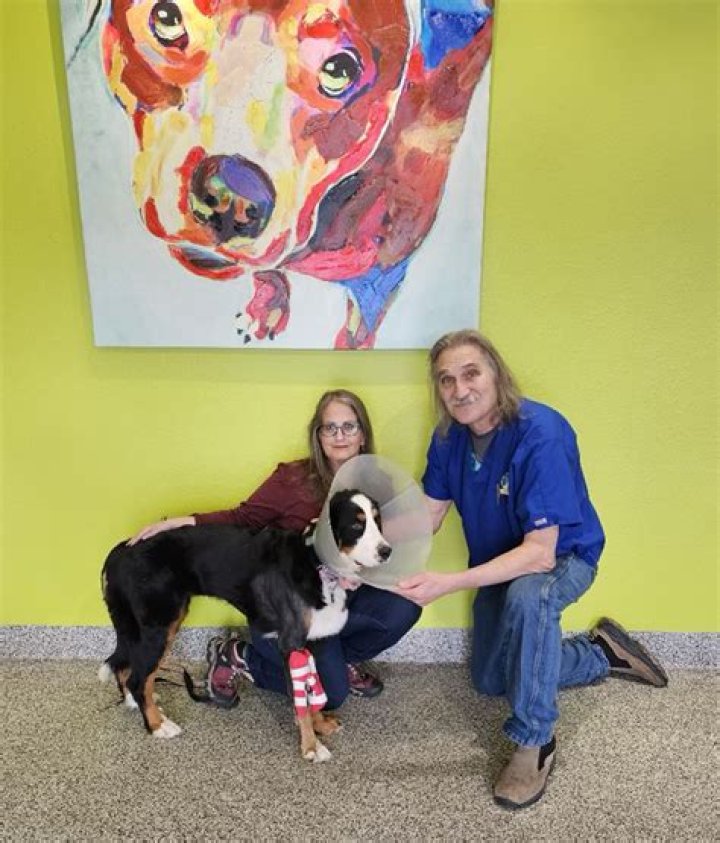 Is Dr Jeff Vet Dead? Bio, Wife, Age, Net Worth, And More