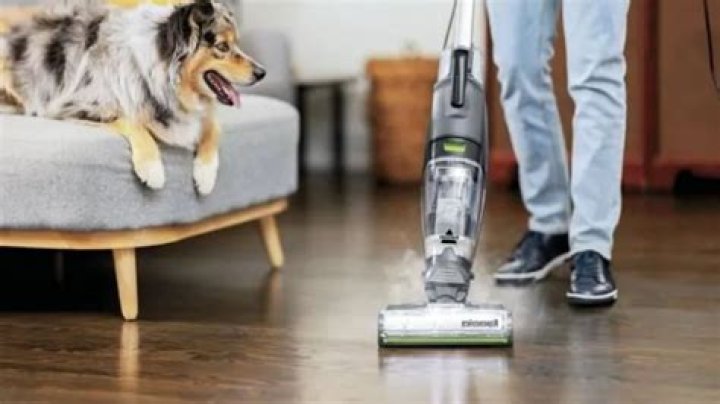 Julian De La Celle - Net Worth, Age, Height, Birthday, Bio, Wiki!