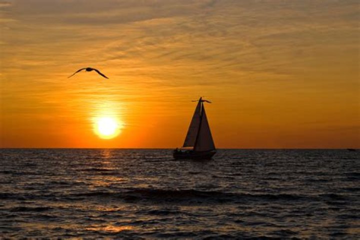 July 9 Famous Birthdays - All Famous Birthdays