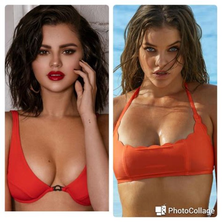 Justin Bieber Loves Selena Gomez MORE After Barbara Palvin’s Sexy and Spiteful Bikini Tweet (Photos)