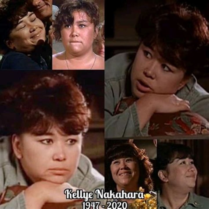 Fame | Kellye Nakahara net worth and salary income estimation Jan, 2024