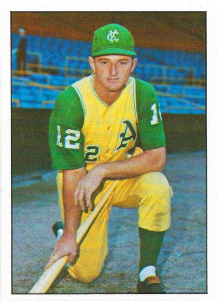 Fame | Ken Harrelson net worth and salary income estimation Jan, 2024