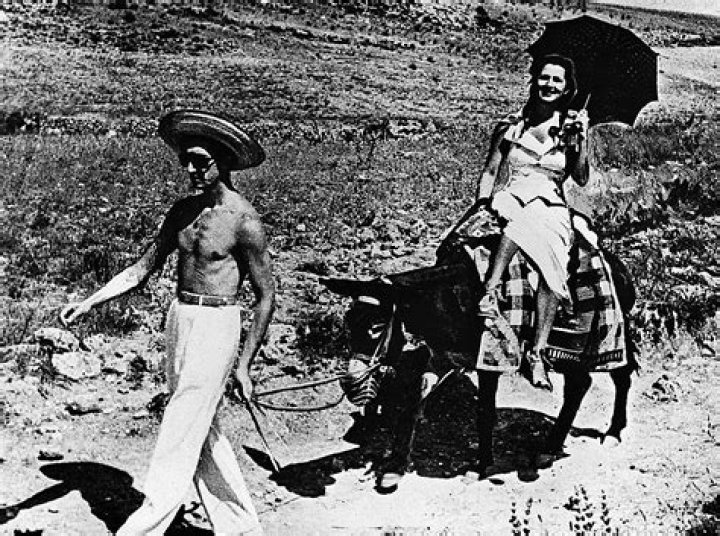 Lupe Sino - Net Worth, Age, Height, Birthday, Bio, Wiki!