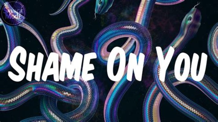 LYRICS: D Smoke – Shame on You