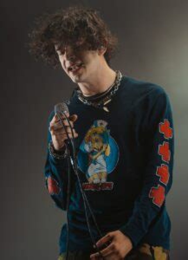 Matty Healy Biography: Age, Net Worth, Songs, Wikipedia, Girlfriend, Instagram, Pictures