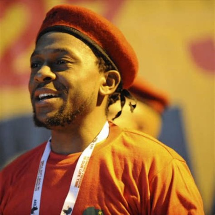 Mbuyiseni Ndlozi Biography: Wife, Age, Net Worth, Wikipedia, Child, Education