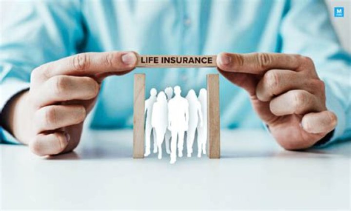 Methodology of Life Insurance: Benefits, Types, Affordable, Term, Policy, Is It Worth It and More
