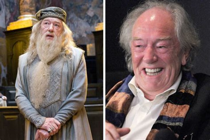 Michael Gambon Wife: Meet Anne Miller