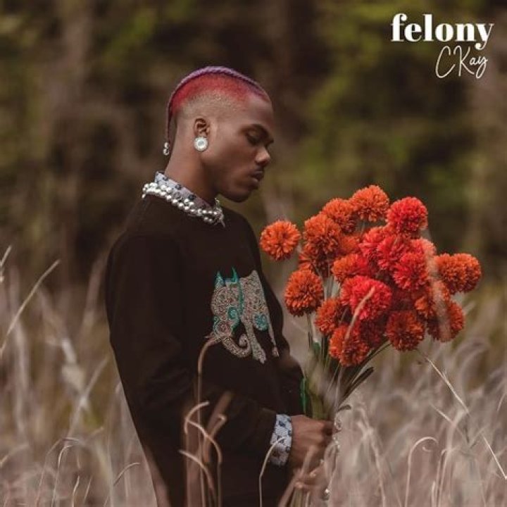 MUSIC: Ckay – Felony