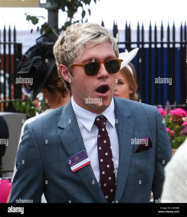 Niall Horan Makes An Appearance At Royal Ascot 2016