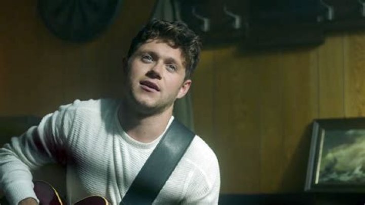 Niall Horan Releases Alternate 'Too Much to Ask' Music Video just Hours After 'Flicker' Tops the Charts at Number 1