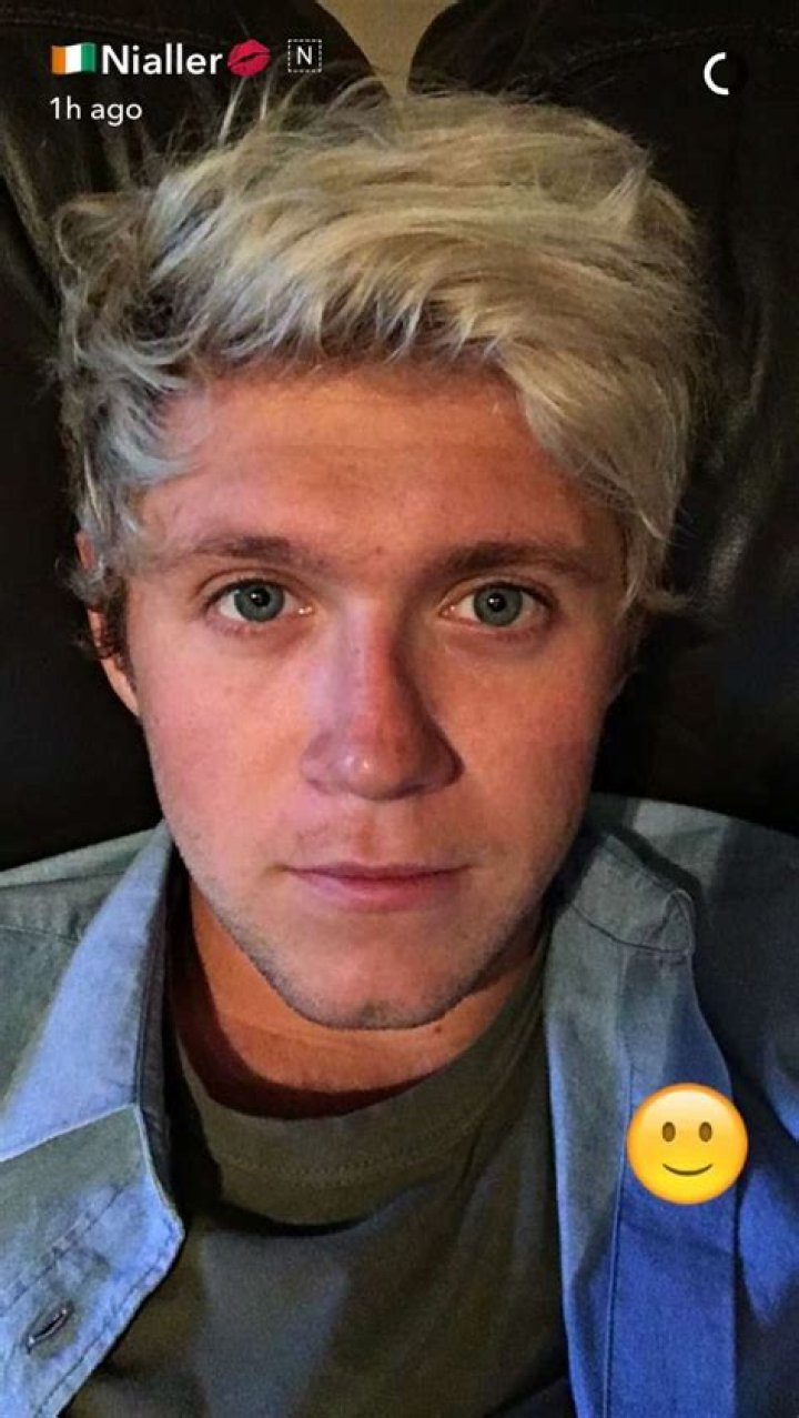Every Snapchat Niall Horan Has Uploaded!