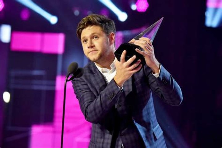 Niall Horan takes stage at the American Music Awards