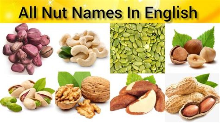 Nutsa Buzaladze’s Boyfriend: Who is Nutsa Buzaladze Dating?