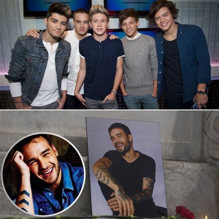 How One Direction Transformed The Word Home For Their Fans #ProjectHomeOT4Day