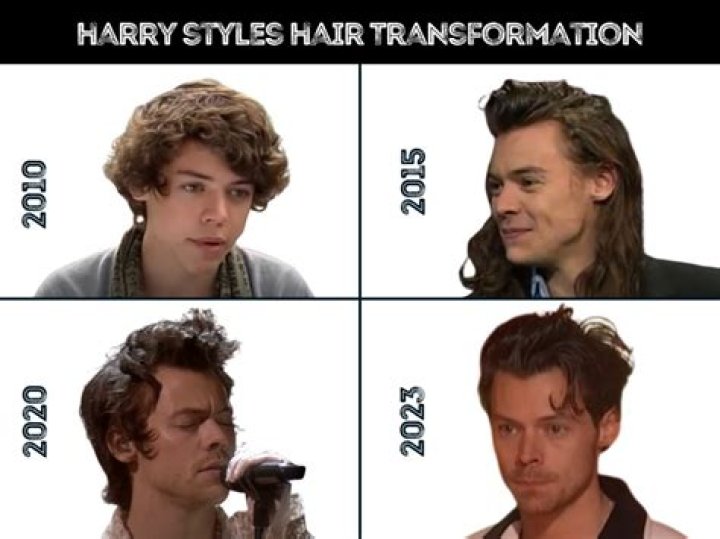 Quiz: What Harry Styles Hairstyle Are You?